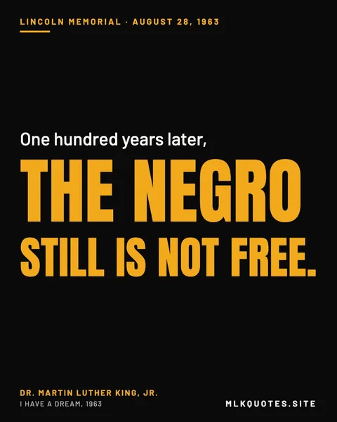 Quote image: “One hundred years later, the Negro still is not free.” Martin Luther King Jr., I Have a Dream, 1963.